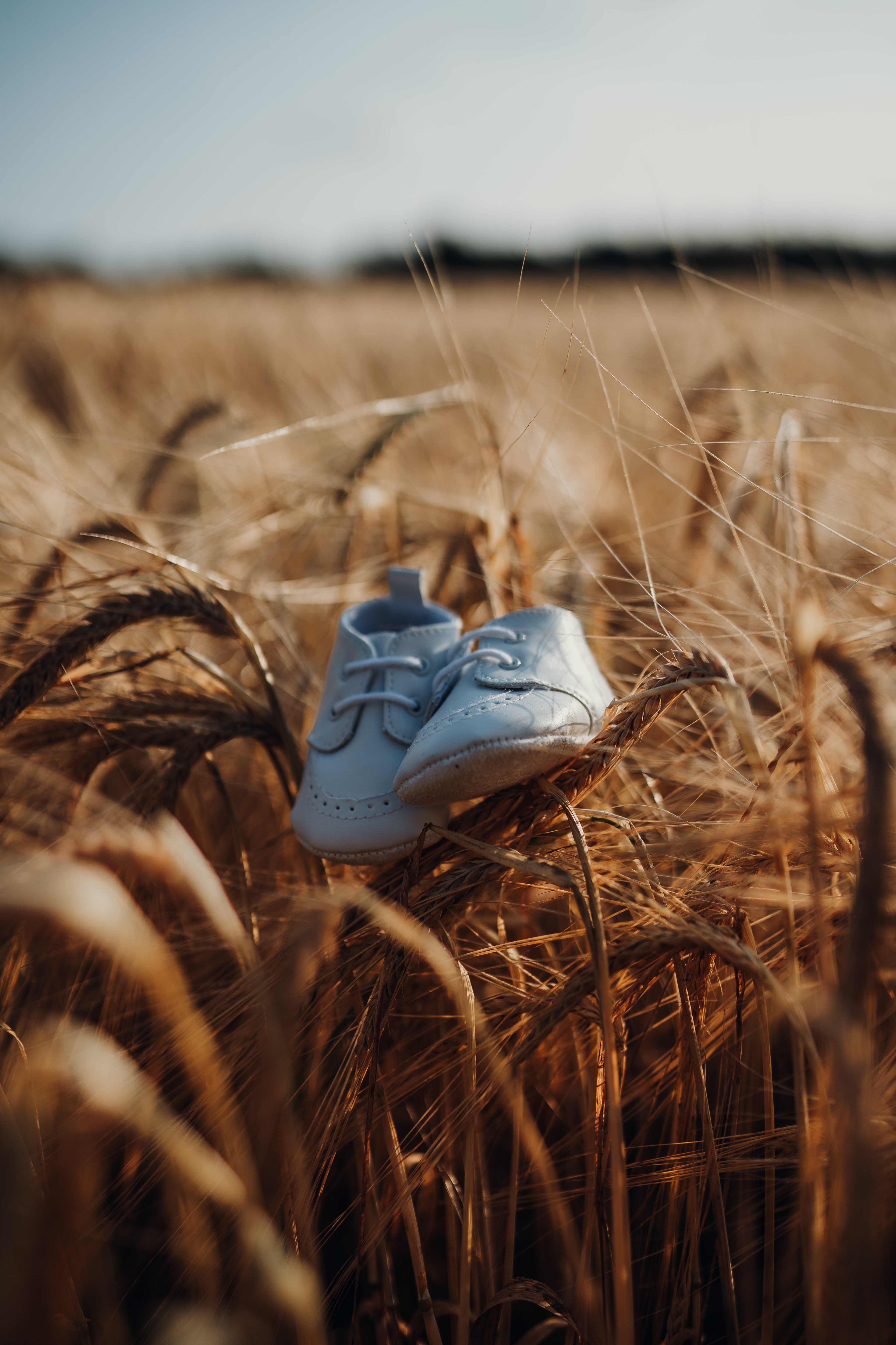 baby shoes in wheat field